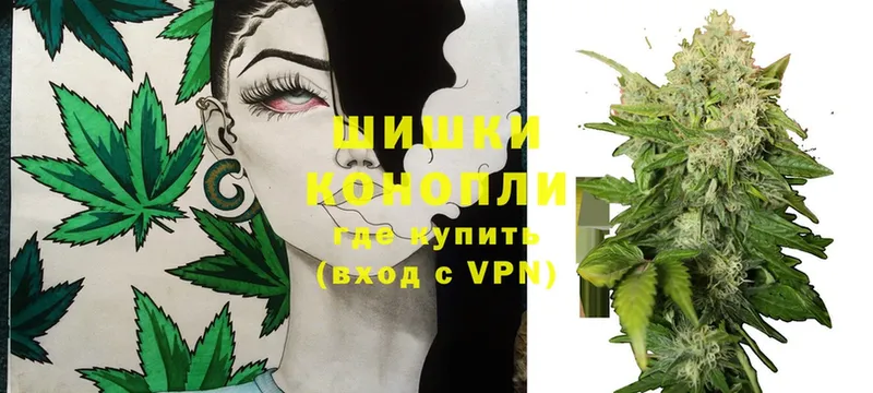 где купить   Кирсанов  Каннабис White Widow 